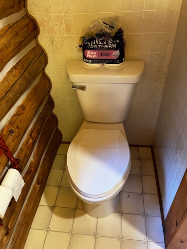 Freshly installed toilet sitting in our bathroom